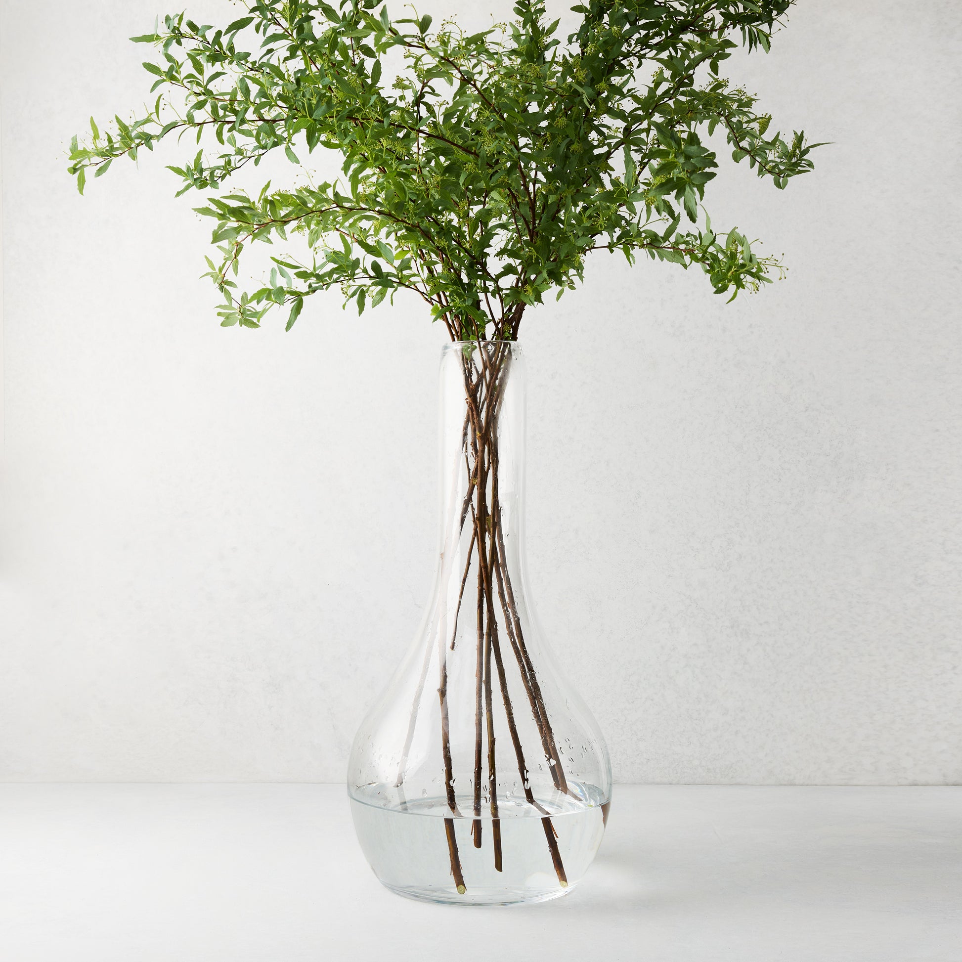 Elise Glass Vase, 19.5"H, mouth-blown clear glass, traditional shape, with green leafy stems.