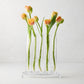Elli Small Scissor-Cut Glass Vase, clear, rectangular base with five individual tubes holding orange tulips.