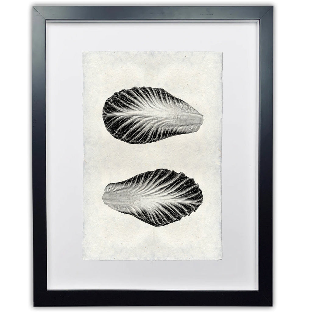 Endive handmade paper wall art print, black and white botanical illustration in a black frame.