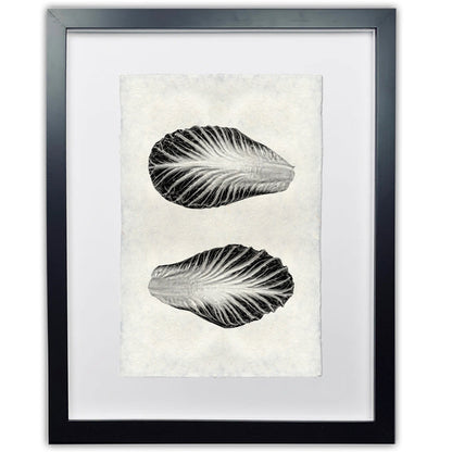 Endive handmade paper wall art print, black and white botanical illustration in a black frame.