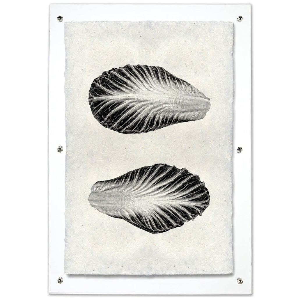 Endive handmade paper wall art print featuring two black and white endive leaves on textured paper, framed.