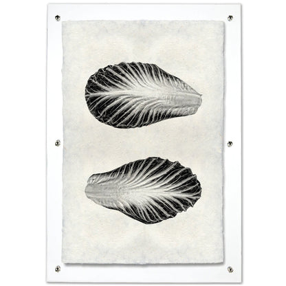 Endive handmade paper wall art print featuring two black and white endive leaves on textured paper, framed.