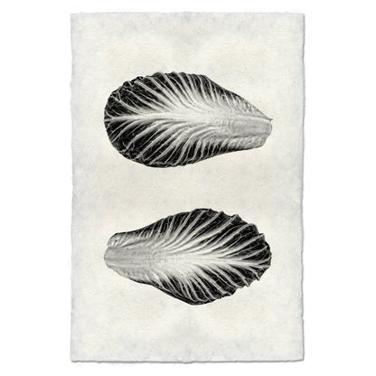 Endive handmade paper wall art print featuring two black and white endive leaves on textured paper.
