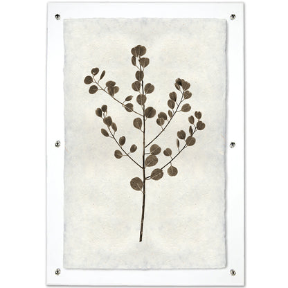 Eucalyptus #1 handmade Nepalese paper wall art print, brown botanical design on textured off-white paper.