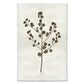 Eucalyptus #1 handmade Nepalese paper wall art print with a brown botanical branch and leaves.