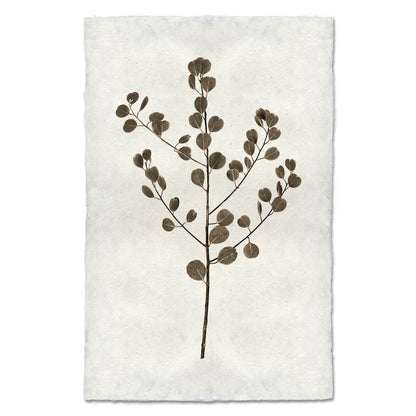 Eucalyptus #1 handmade Nepalese paper wall art print with a brown botanical branch and leaves.