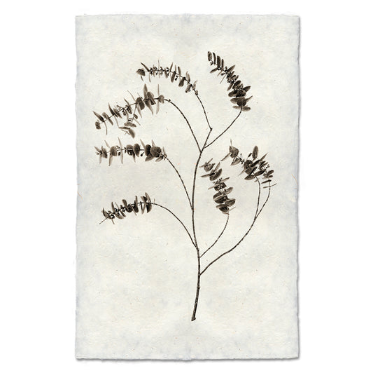 Eucalyptus #2 handmade Nepalese paper wall art print with a dark botanical illustration.