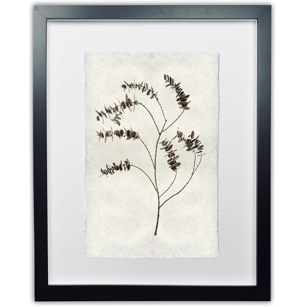 Eucalyptus #2 handmade Nepalese paper wall art print, black framed, with a subtle botanical design.