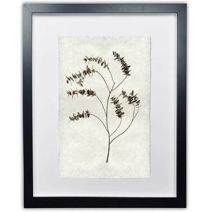 Eucalyptus #2 handmade Nepalese paper wall art print, black framed, with a subtle botanical design.