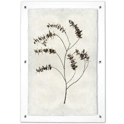 Eucalyptus #2 handmade paper wall art print, dark botanical branch on textured off-white paper, clear frame.