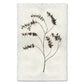 Eucalyptus #2 handmade Nepalese paper wall art print with a dark botanical illustration.