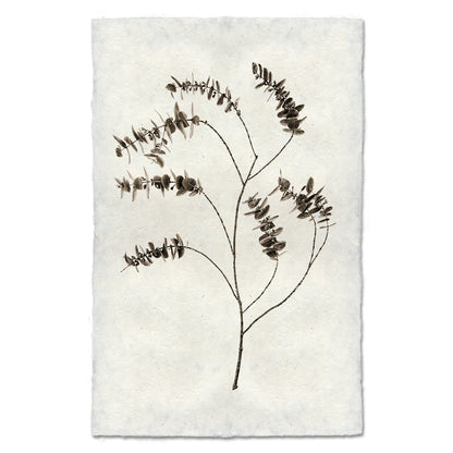 Eucalyptus #2 handmade Nepalese paper wall art print with a dark botanical illustration.