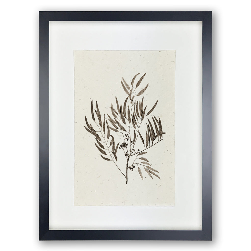 Framed Eucalyptus #4 handmade Nepalese paper wall art print with dark botanical illustration.