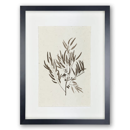 Framed Eucalyptus #4 handmade Nepalese paper wall art print with dark botanical illustration.