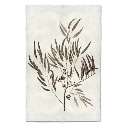 Eucalyptus #4 handmade Nepalese paper wall art print with a botanical illustration of leaves and berries.