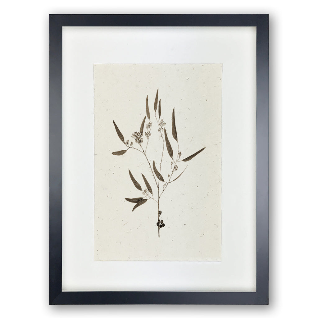 Framed Eucalyptus #5 handmade Nepalese paper wall art print with dark botanical illustration.