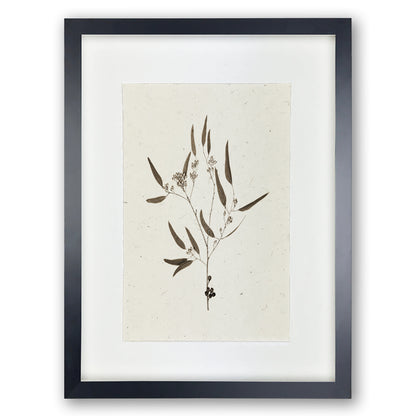 Framed Eucalyptus #5 handmade Nepalese paper wall art print with dark botanical illustration.