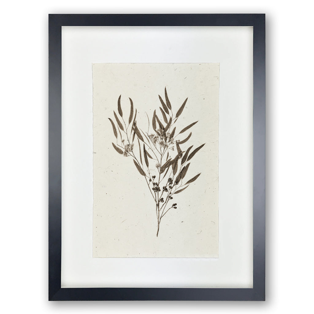 Eucalyptus #6 handmade paper wall art print, framed in black with a white mat.
