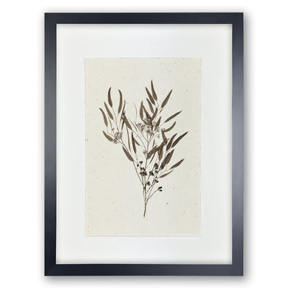 Eucalyptus #6 handmade paper wall art print, framed in black with a white mat.