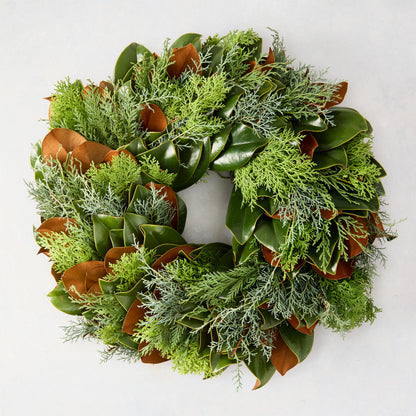 24-inch holiday wreath featuring fresh green magnolia leaves, silver-hued cypress, and golden cedar on a white background.