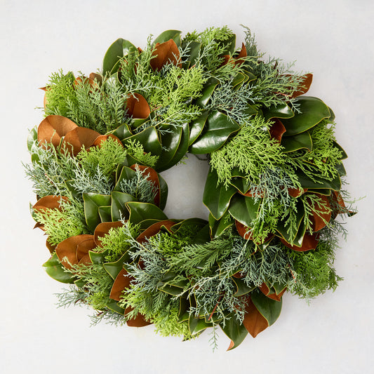 24-inch holiday wreath featuring fresh green magnolia leaves, silver-hued cypress, and golden cedar on a white background.