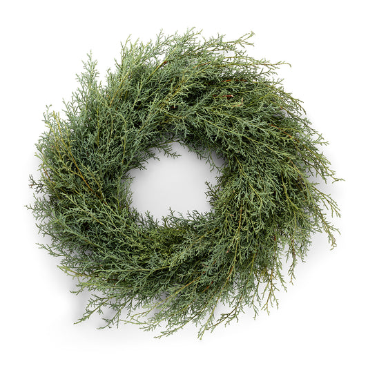 18-inch Carolina Sapphire Cypress wreath with feathery, silvery-green foliage on a white background.