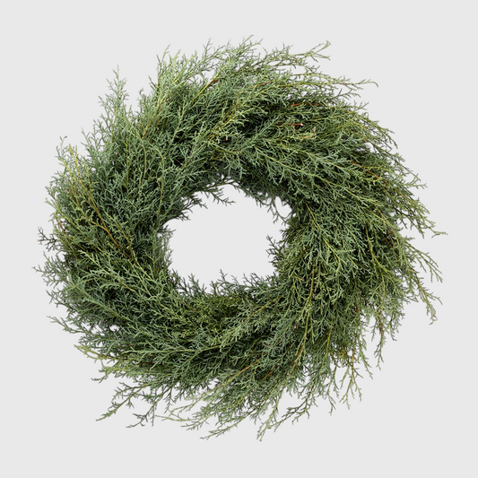 18-inch Carolina Sapphire Cypress wreath with feathery, silvery-green foliage on a white background.