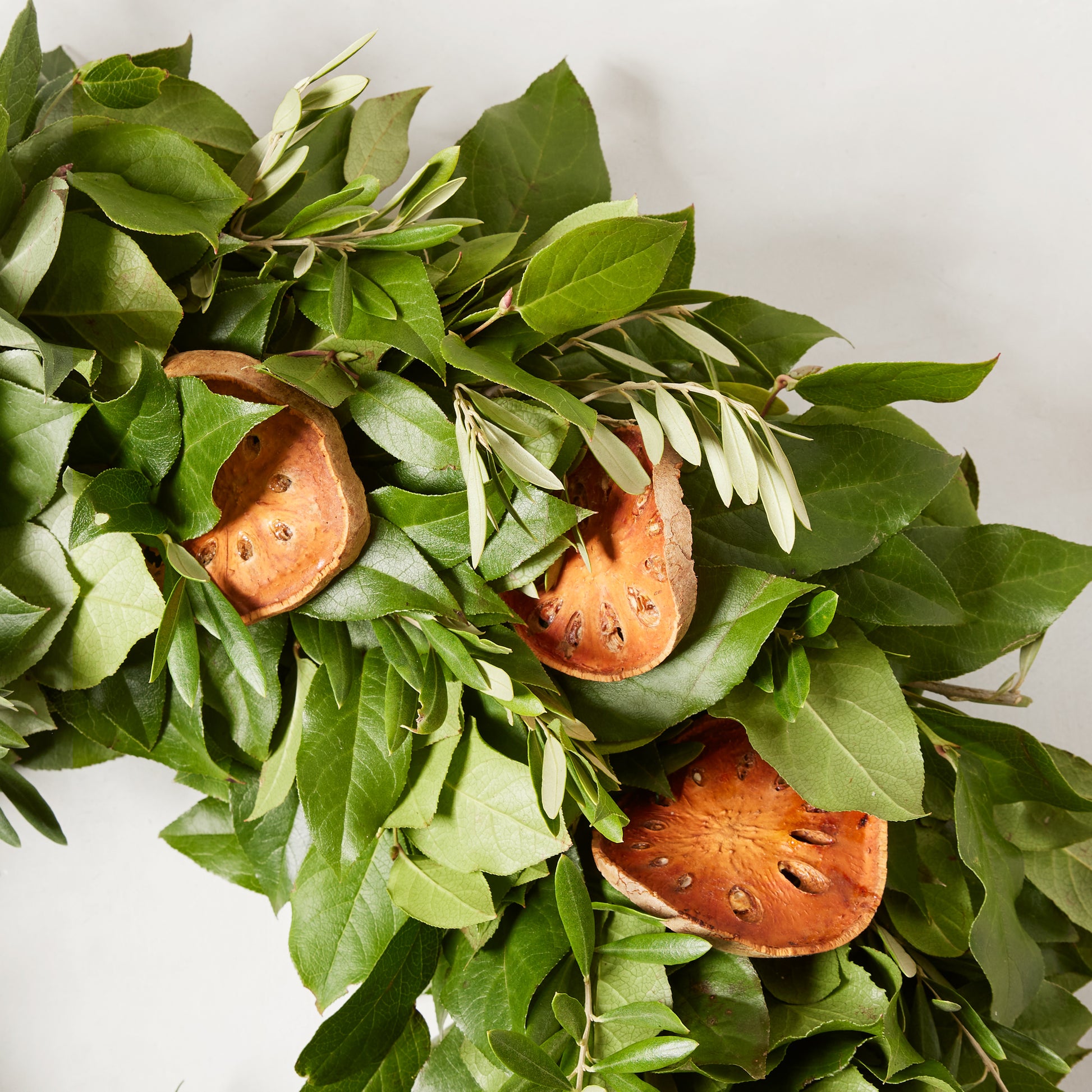 Fresh Citrus Sunrise Wreath with green olive and salal leaves, adorned with dried citrus slices.