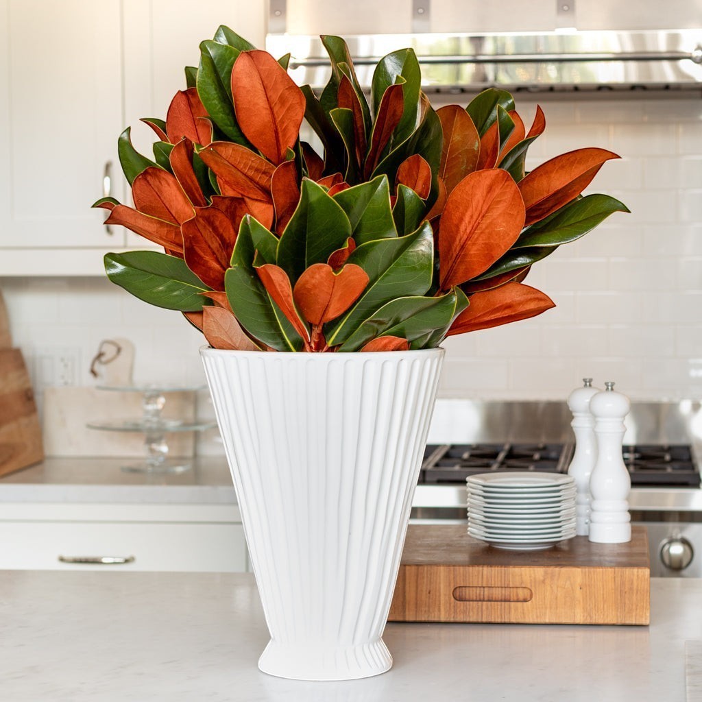 Hudson Grace fresh magnolia stem bunch with glossy green and velvety copper leaves in a white fluted vase