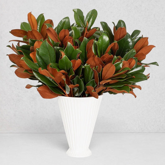Hudson Grace fresh magnolia stem bunch with glossy green and velvety copper leaves in a white fluted vase