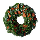 24-inch fresh magnolia wreath with glossy green and velvety copper leaves arranged in a circular design.