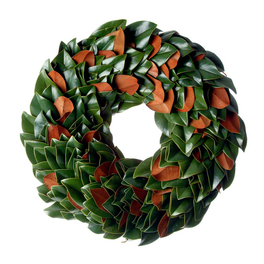 24-inch fresh magnolia wreath with glossy green and velvety copper leaves arranged in a circular design.