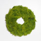 24-inch round wreath made of fresh, feathery green cedar branches on a plain white background.