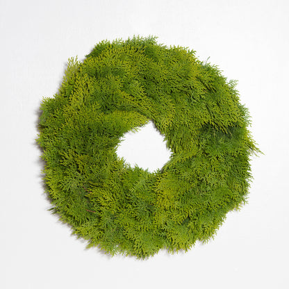24-inch round wreath made of fresh, feathery green cedar branches on a plain white background.
