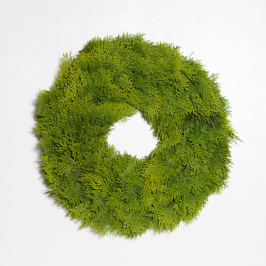 24-inch round wreath made of fresh, feathery green cedar branches on a plain white background.