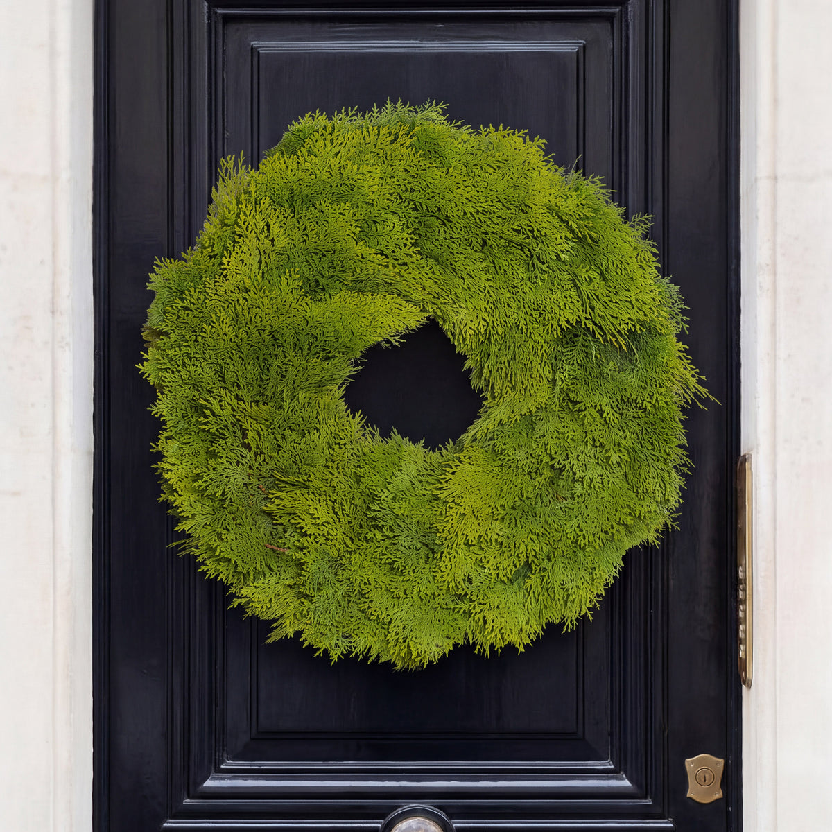 Fresh 24-inch cedar wreath with feathery green foliage hanging on a dark black front door.