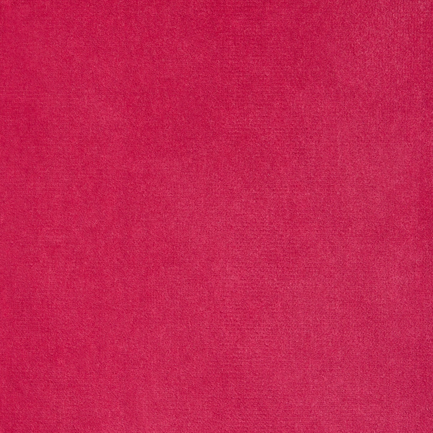 Fuchsia pink cotton velvet fabric swatch, solid color.