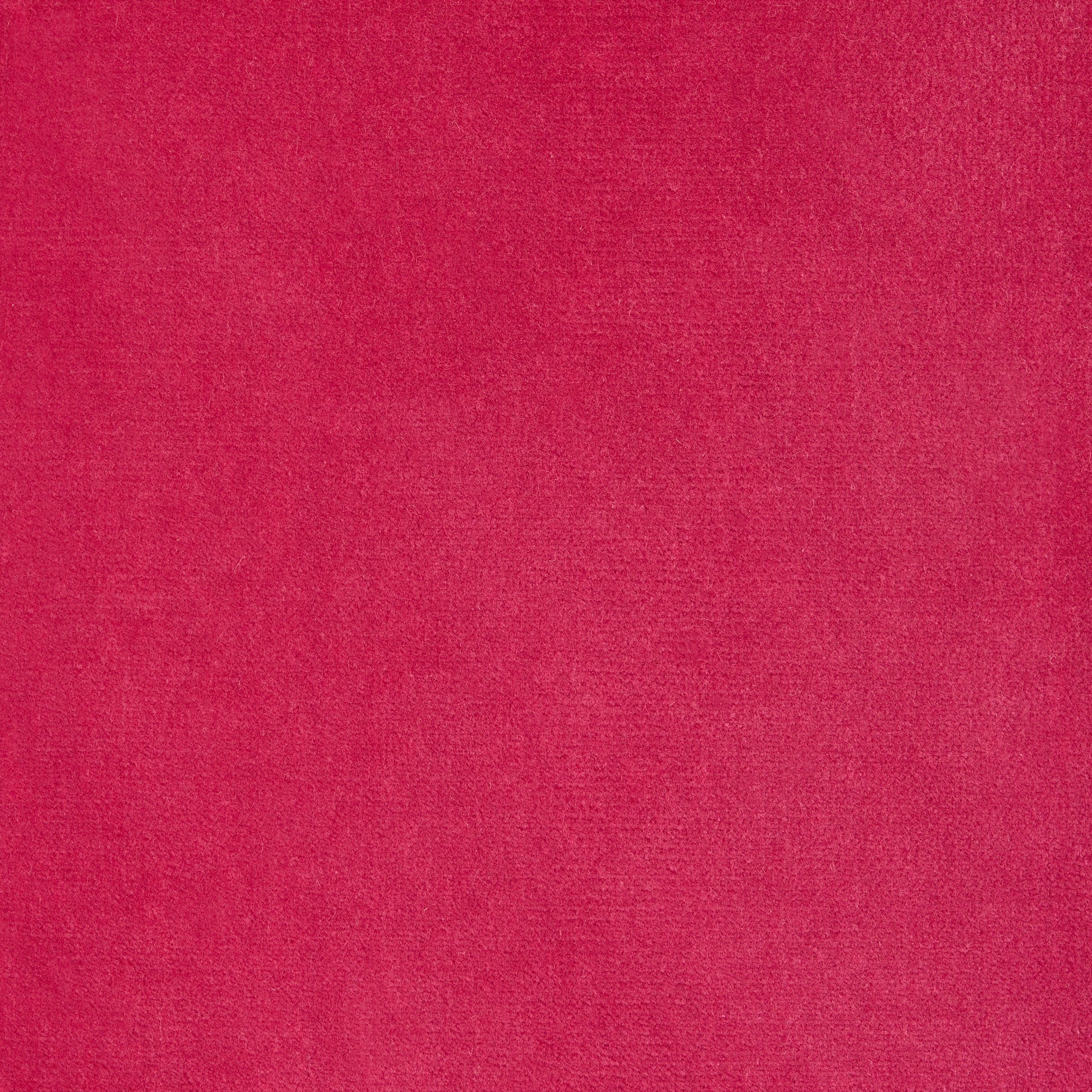 Fuchsia pink cotton velvet fabric swatch, solid color.