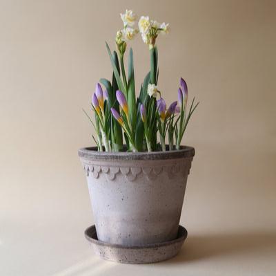 KØBENHAVNER Grey Terracotta Pot and Saucer (8.3" x 7.3"H) with delicate detailing, holding spring flowers.