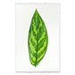 Green Dieffenbach leaf art print on heavy English watercolor paper with deckled edges.