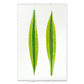 Green Draecena leaf art print on English watercolor paper with deckled edges.