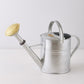 HG Garden 9-liter galvanized watering can with a silver body and a brass-colored rose.