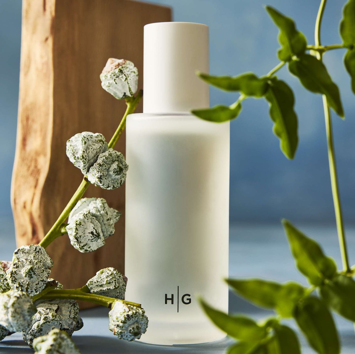 Hudson Grace Montecito Room Spray, frosted white bottle with HG logo, eucalyptus, and wood block.