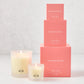 Hudson Grace Palm Beach candle gift set: three frosted glass candles with HG logo, three stacked coral pink boxes.