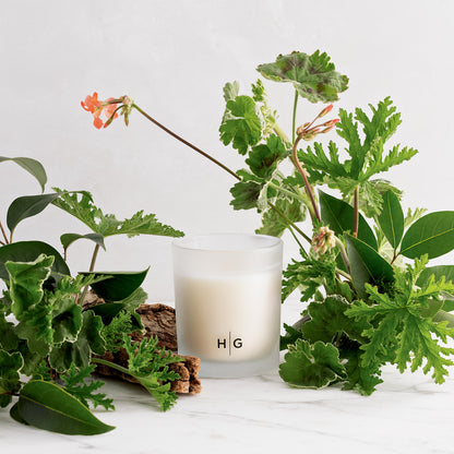 Hudson Grace Montauk Scented Candle in a frosted glass vessel, surrounded by green leaves and a small branch.