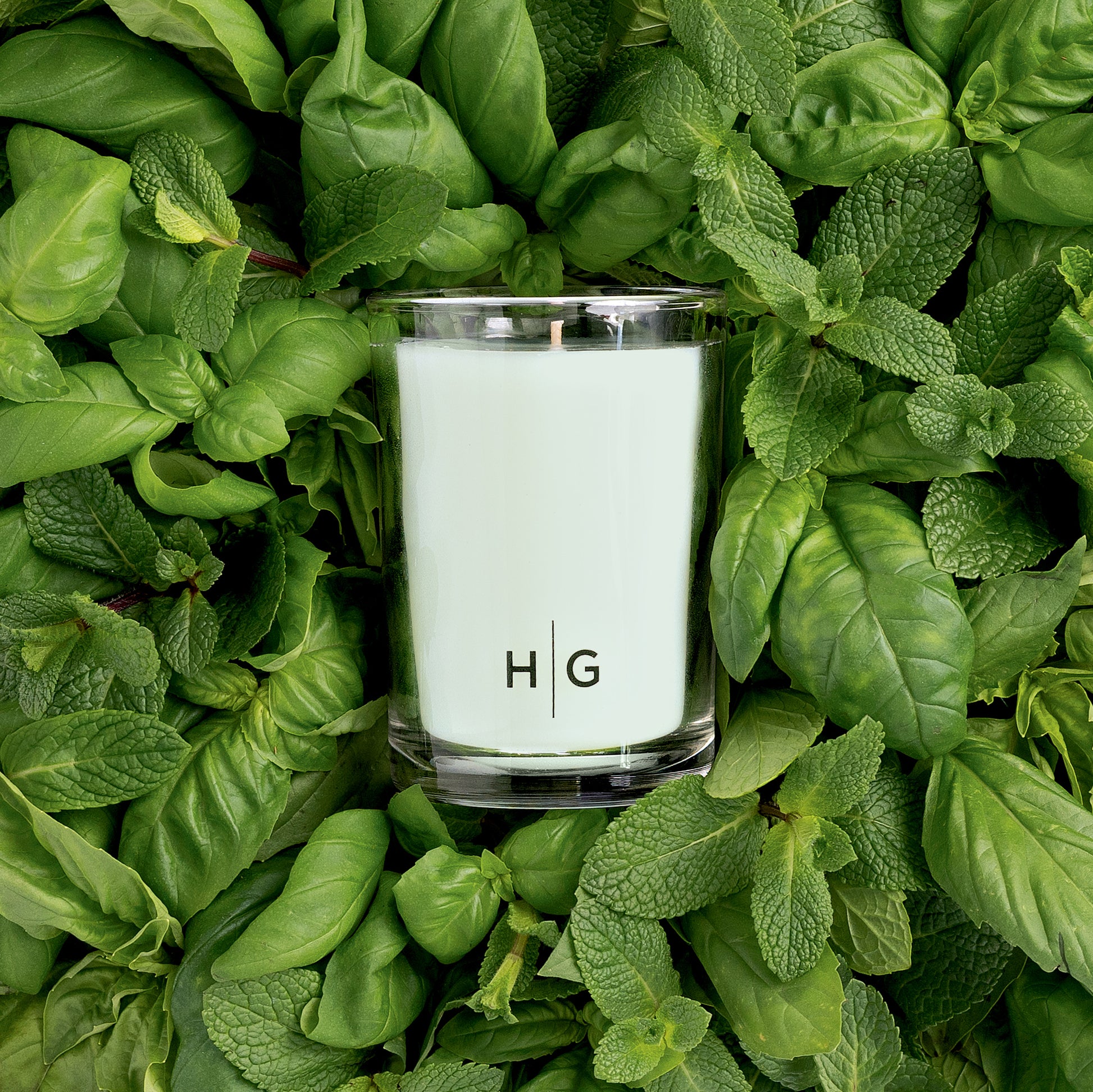 Hudson Grace Sweet Basil Kitchen Candle in a clear glass jar with HG logo, surrounded by fresh green basil and mint leaves.