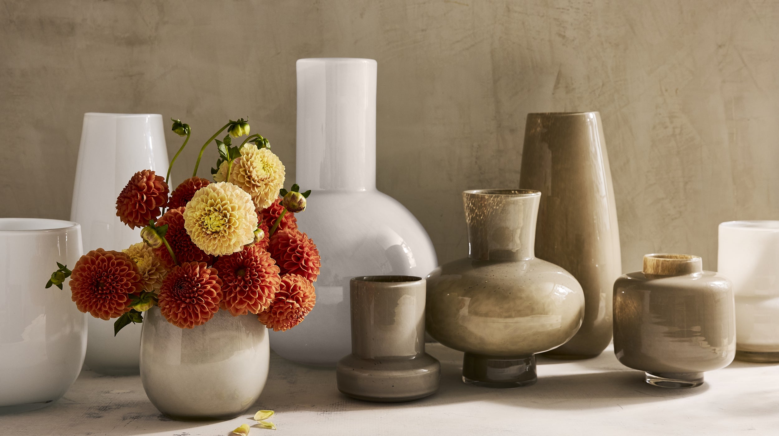 Hudson Grace white and taupe glass vases in assorted shapes, styled with dahlias