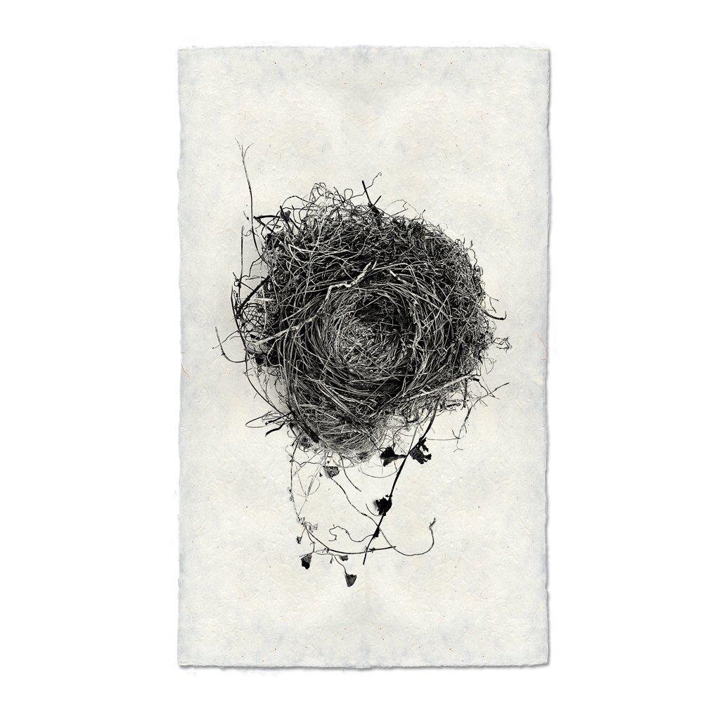 Nest Study #3 Handmade Paper Wall Art Print
