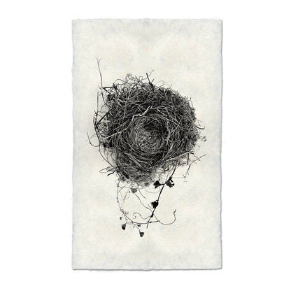 Nest Study #3 Handmade Paper Wall Art Print