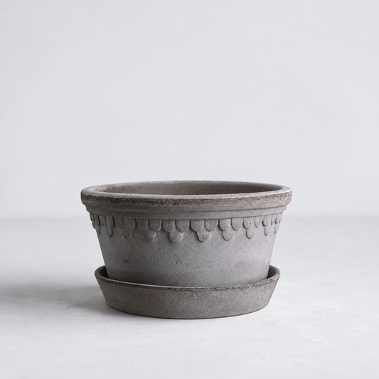 8.3-inch gray terracotta low pot with scalloped rim detail and matching saucer on a light background.
